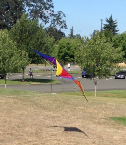 kite hill, lacey