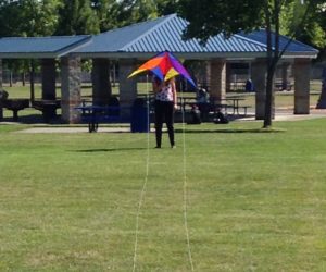 kite flying olympia