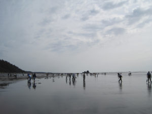 razor clamming