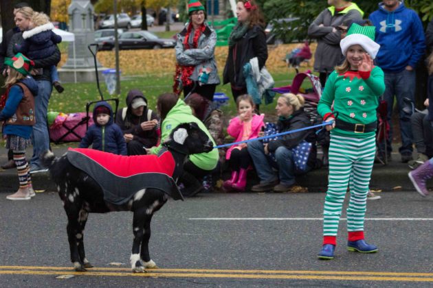 Downtown for the Holidays 2017