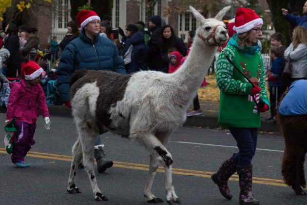 Downtown for the Holidays 2017