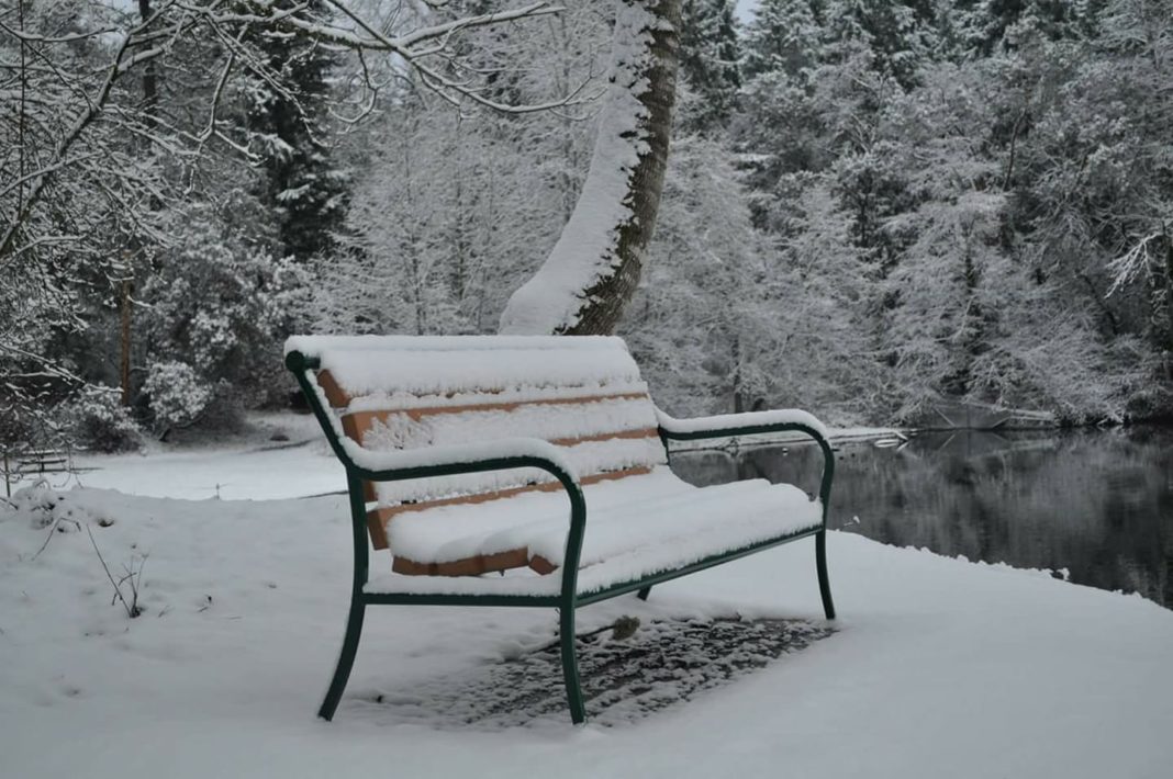 snowy bench