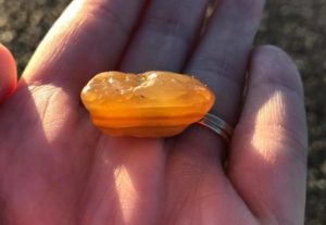 Beachcombing Grays Harbor