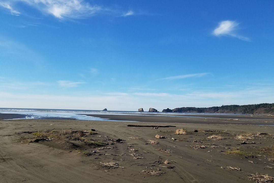 Tide Chart Pacific Beach Wa