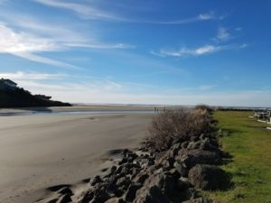 Beachcombing Grays Harbor