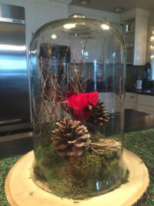 DIY Cloche Garden Winter cardinal