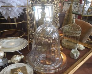 DIY Cloche Garden vintage bell jar