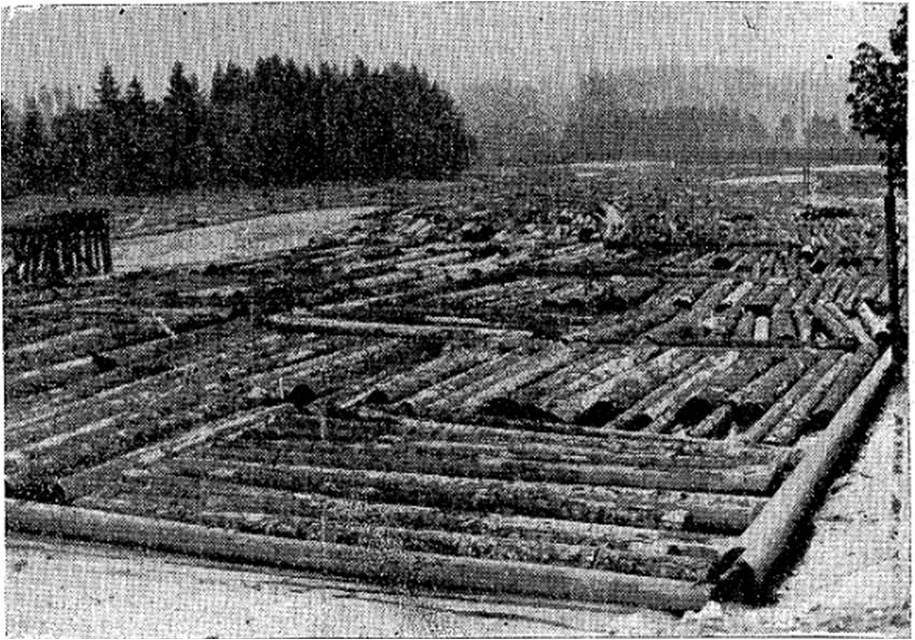 Mud Bay Logging