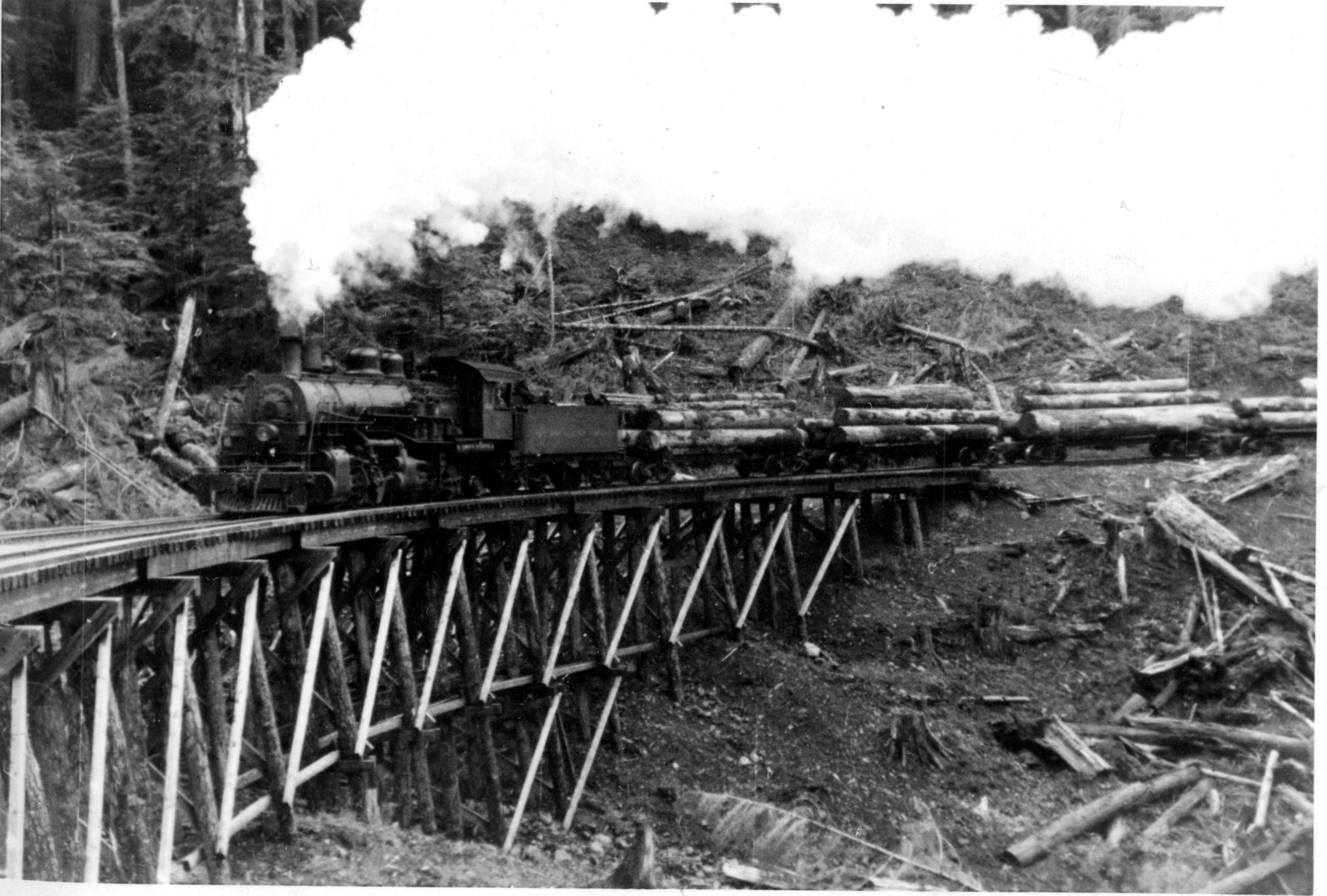 Mud Bay Logging