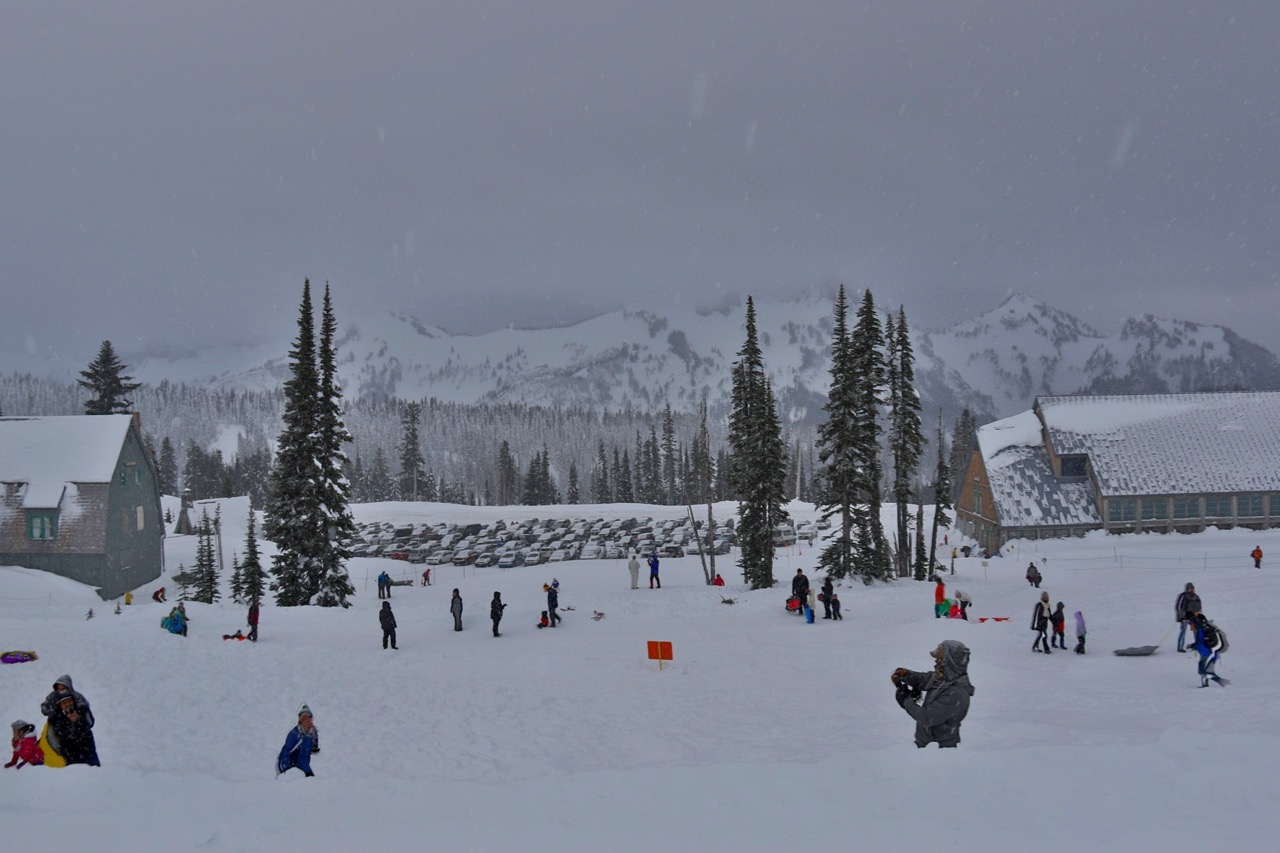 Mount Rainier Sledding