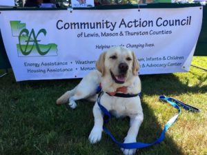 Astro the therapy dog