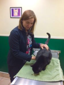 Healthy Pets Feline Clinic Dr. Natalee Rosinski