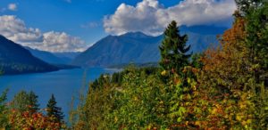 Fall colors at Lake Cushman