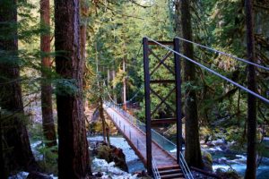 Staircase Olympic National Park