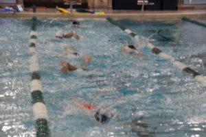 Olympia high school swimming