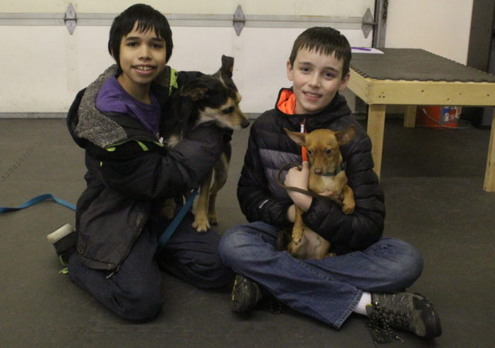 Seth B. and Finn G. 4H dogs