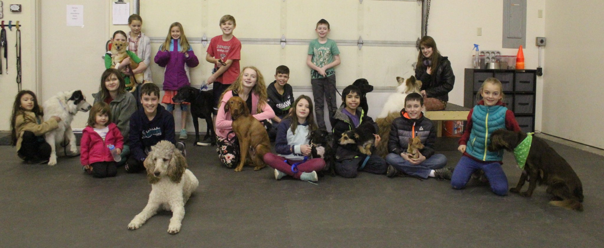 helping hounds 4H dogs