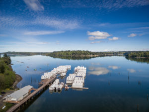 port of shelton marina