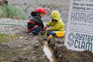 Hama Hama Oyster Company Oyster Rama family friendly event