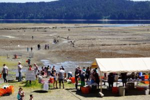 Hama Hama Oyster Company Oyster Rama gathering