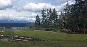 Alderbrook Golf and Yacht Club The Point