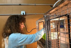 Feed Bin Diana Hardy Feeding