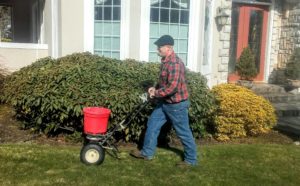 Gold Standard Landscaping and Lawn Services grass