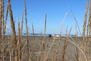 Quinault Beach Resort and Casino Spring Fling 2018 relax at the beach