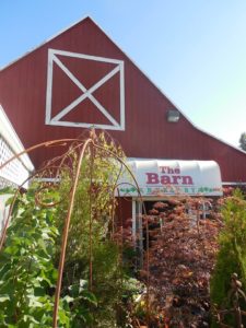 The Barn Nursery