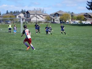 Chinqually Booters Soccer Club