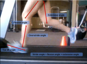 Penrose & Associates Physical Therapy Lower Extremity Angle Definitions