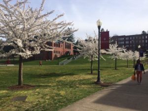 Saint Martins University Environmental studies major
