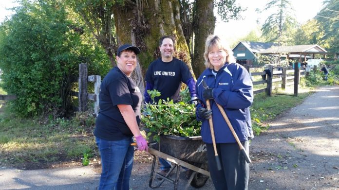 United Way of Thurston County Day of Caring Nature Nurture Farms 2017
