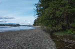 Olympia Beaches