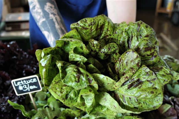 Yelm Farmers Market