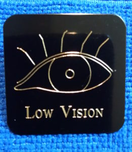 Lions Pin Project Eye Pin