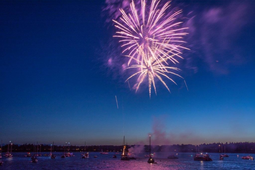 Mason County Fireworks Boston Harbor Fireworks via Chris Hamilton