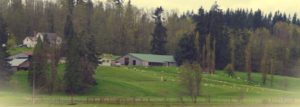 Olympia Food CoOp MtCapra