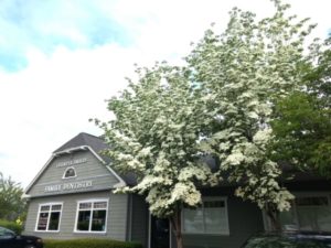 Olympia Smiles Dentistry outside wide angle