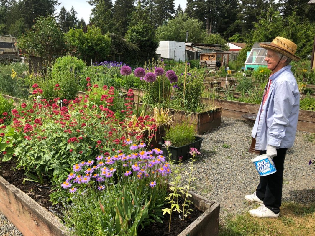 Panorama Pea Patch C&R Flower Garden