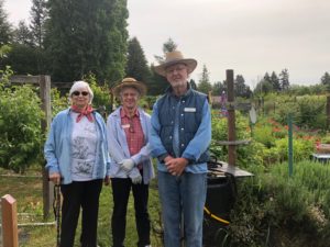 Panorama Pea Patch Garden Leaders