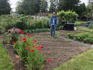 Panorama Pea Patch Jim DeYoung