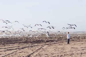 Quinault Beach Resort and Casino off-season travel TT-beachcombing