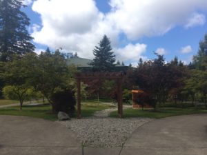 SPSCC Japanese Maple Garden