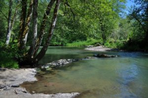 Skookumchuck River