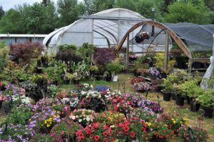 Sunshine Nursery Tenino, WA