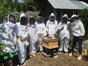 The Evergreen State College Beekeeping Avanti Bee Club
