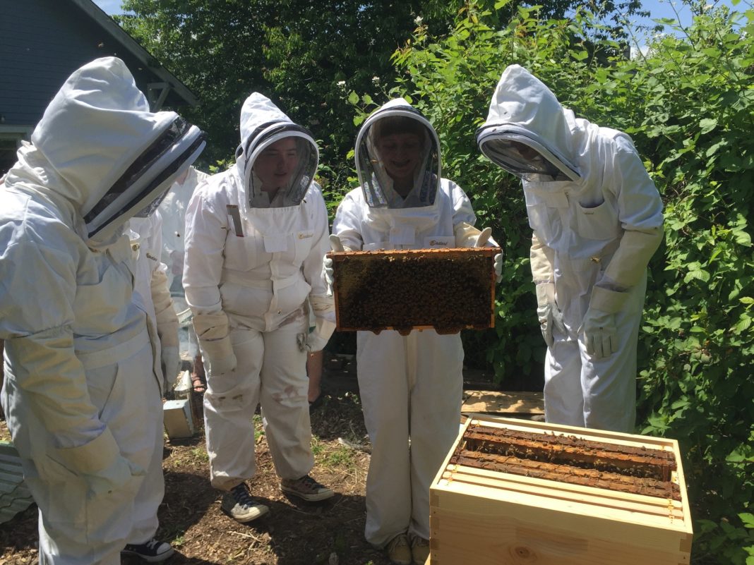 The Evergreen State College Beekeeping Learning
