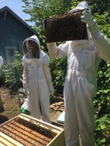 The Evergreen State College Beekeeping Students Inspect