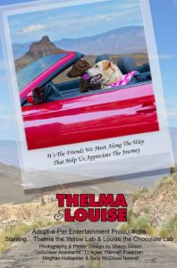 Adopt A Pet Dog of the Week Thelma and Louise
